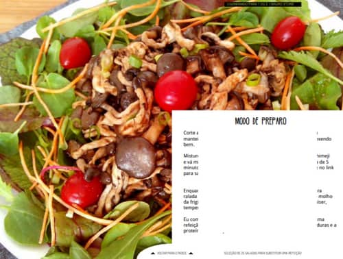 E-book - revista digital 29 receitas de Saladas