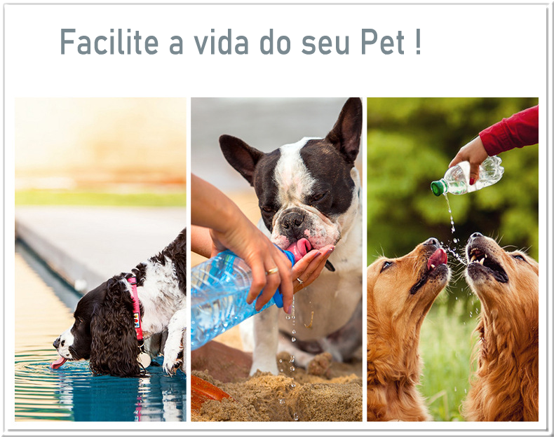 Garrafa de água portátil DelicaPet para cães 