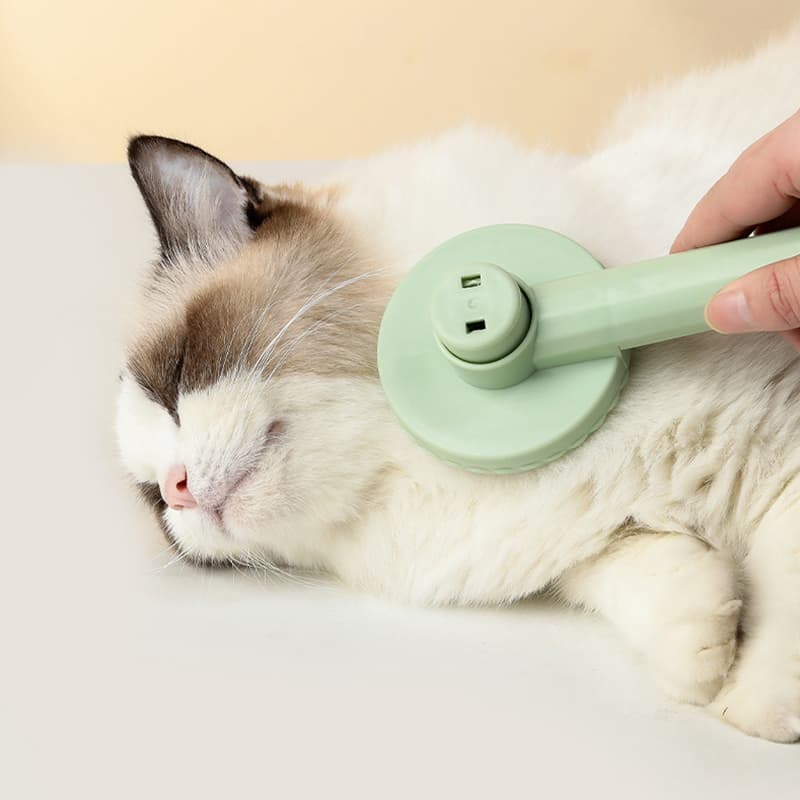 Escova  de pelos Cat Max para gatos